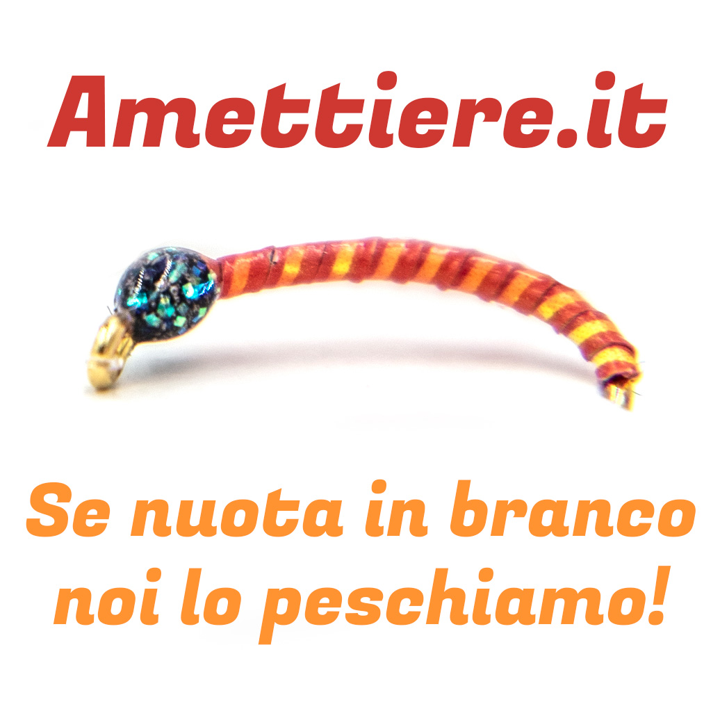 Logo Amettiere.it